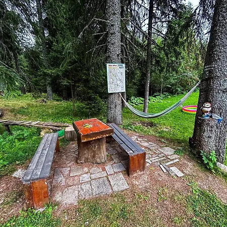 Apartment Raikovski