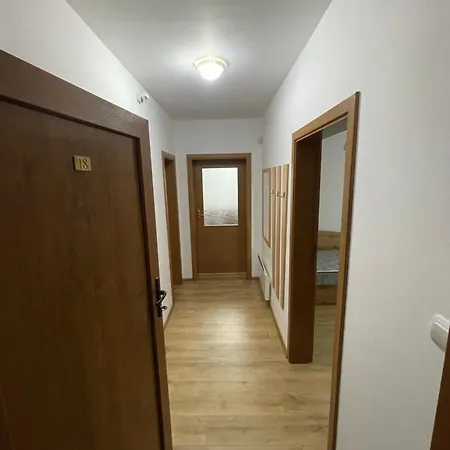 Apartment Raikovski